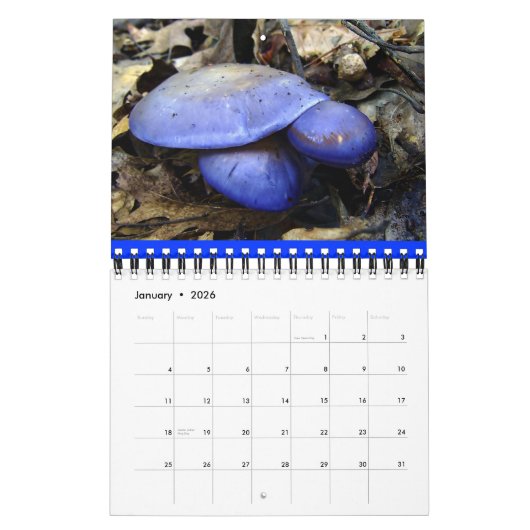 Calendrier des champignons Rainbow 2013 (Jan 2026)