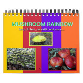 Calendrier des champignons Rainbow 2013 (Protection)