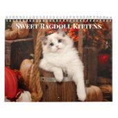 Calendrier des chatons de poupée douce (Protection)
