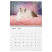 Calendrier des chatons de poupée douce (Jan 2026)
