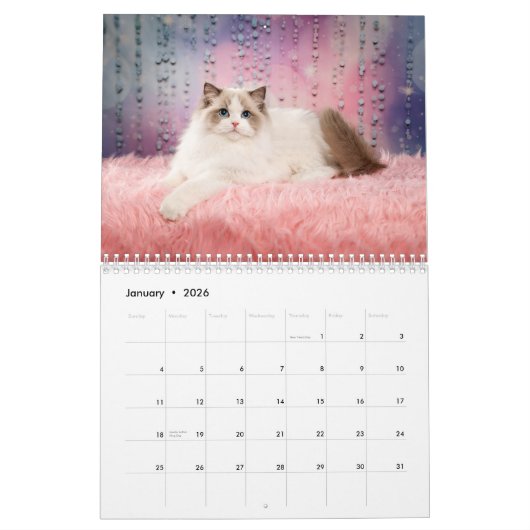Calendrier des chatons de poupée douce (Jan 2026)