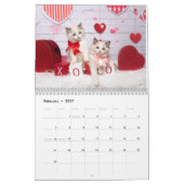 Calendrier des chatons de poupée douce (Feb 2027)
