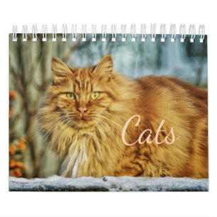 Calendrier des chats