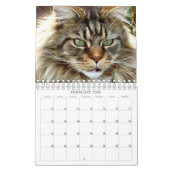 Calendrier des chats (Feb 2026)