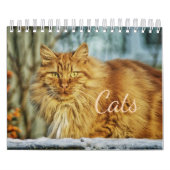 Calendrier des chats (Protection)