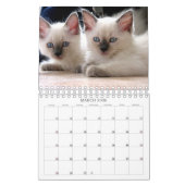 Calendrier des chats (Mar 2026)