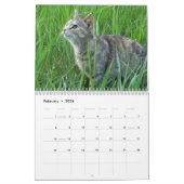 Calendrier des chats (Feb 2026)