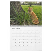 Calendrier des chats (Mar 2027)