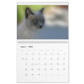 Calendrier des chats (Mar 2026)