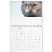 Calendrier des chats (Feb 2027)