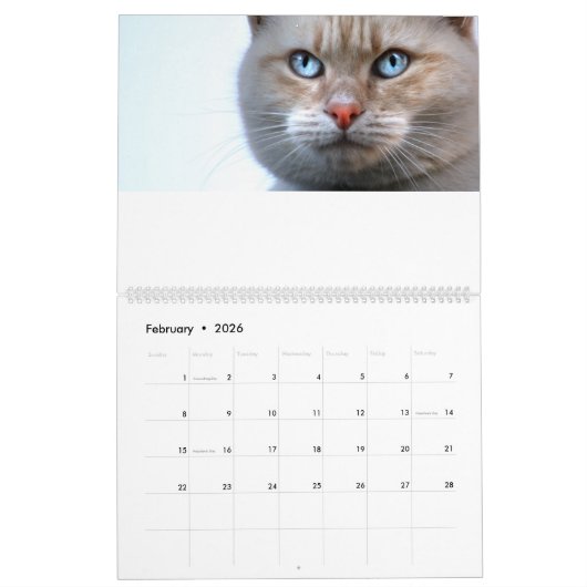 Calendrier des chats (Feb 2026)