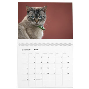 Calendrier des chats