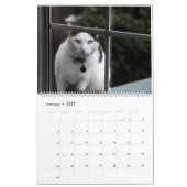 Calendrier des chats (Jan 2027)