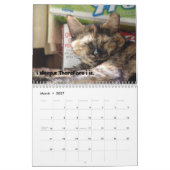 Calendrier des chats 2008 de LOL (Mar 2027)