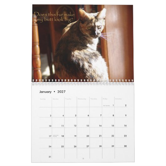 Calendrier des chats 2008 de LOL (Jan 2027)