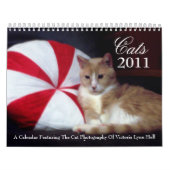 Calendrier des chats 2011 (Protection)