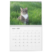 Calendrier des chats 2011 (Mar 2027)