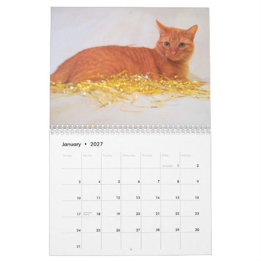 Calendrier des chats 2011 (Jan 2027)