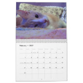 Calendrier des chats 2011 (Feb 2027)