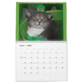 Calendrier des chats 2022 (Mar 2026)