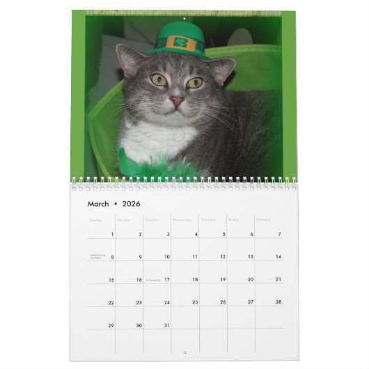 Calendrier des chats 2024 (Mar 2026)