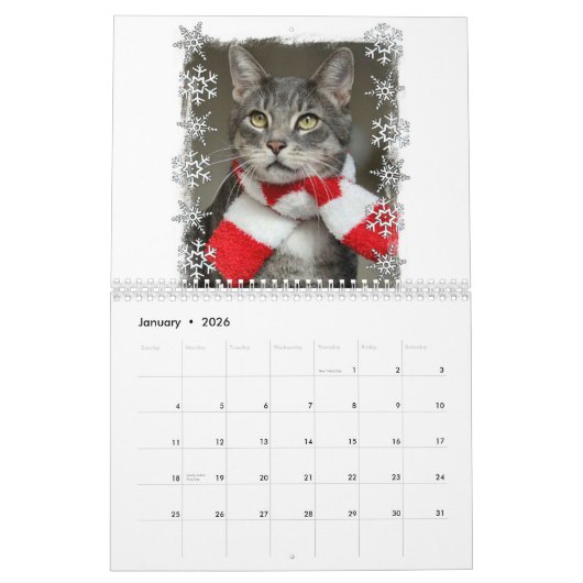 Calendrier des chats 2024 (Jan 2026)