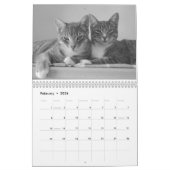 Calendrier des chats 2024 (Feb 2026)
