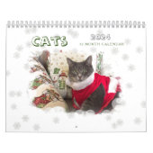 Calendrier des chats 2024 (Protection)
