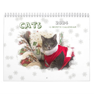 Calendrier des chats 2024