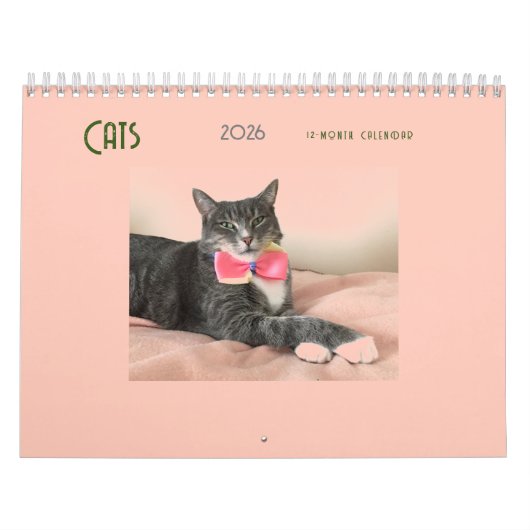Calendrier des chats 2025 (Protection)