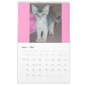 Calendrier des chats abyssinais (Mar 2026)