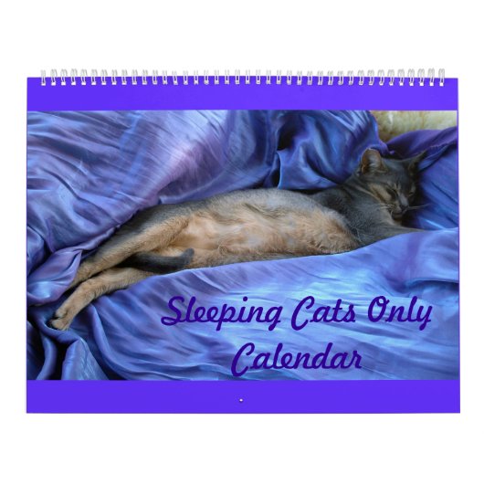 Calendrier des chats abyssiniques dormant - Extra  (Protection)