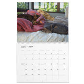 Calendrier des chats abyssiniques dormant - Extra (Mar 2027)