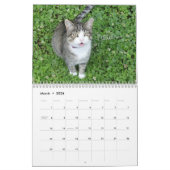 Calendrier des chats amusants (Mar 2026)