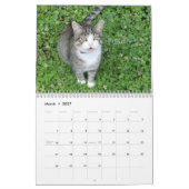 Calendrier des chats amusants (Mar 2027)