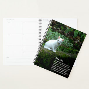 Calendrier des chats blancs