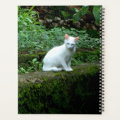Calendrier des chats blancs (Dos)