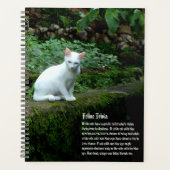 Calendrier des chats blancs (Devant)
