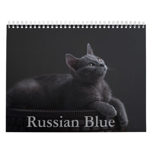 Calendrier des chats bleus russes (Protection)