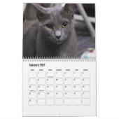 Calendrier des chats bleus russes (Feb 2027)