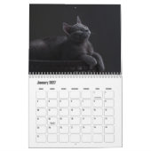 Calendrier des chats bleus russes (Jan 2027)