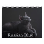 Calendrier des chats bleus russes (Protection)