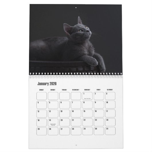 Calendrier des chats bleus russes (Jan 2026)