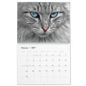 Calendrier des chats Calendrier Feline Accueil Mur (Feb 2027)