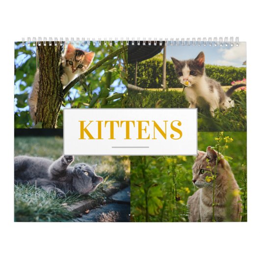 Calendrier des chats Calendrier Feline Accueil Mur (Protection)