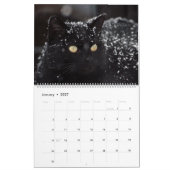 Calendrier des chats Calendrier Feline Accueil Mur (Jan 2027)