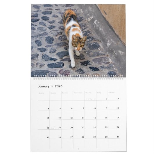 Calendrier des chats de Grèce (Jan 2026)