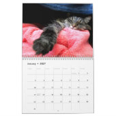 Calendrier des chats de Maine Coon Kitty (Jan 2027)