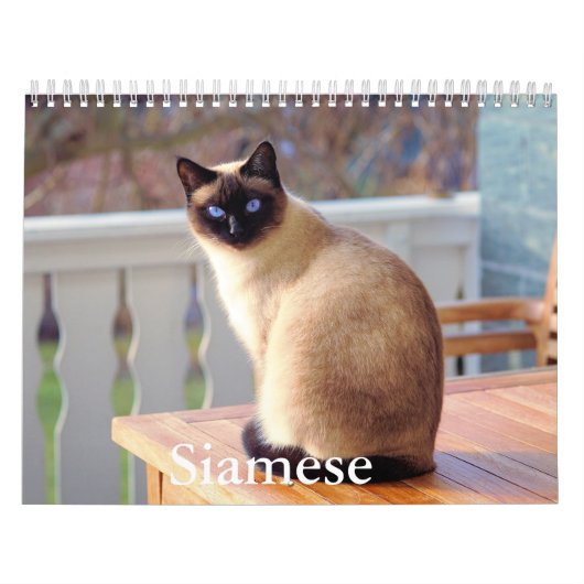 Calendrier des chats de Siamese (Protection)