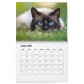 Calendrier des chats de Siamese (Feb 2027)